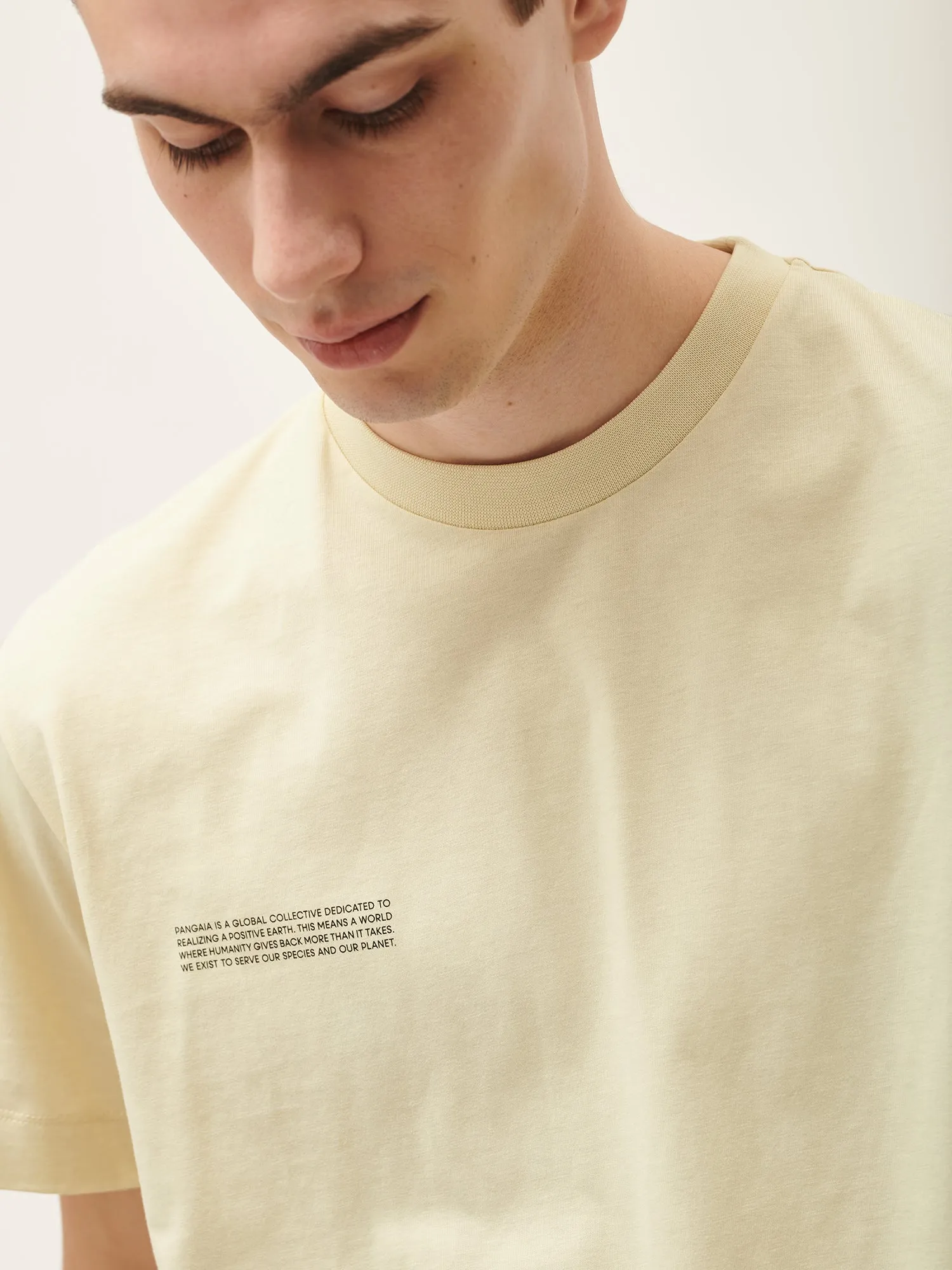 365 Midweight T-Shirt—travertine beige