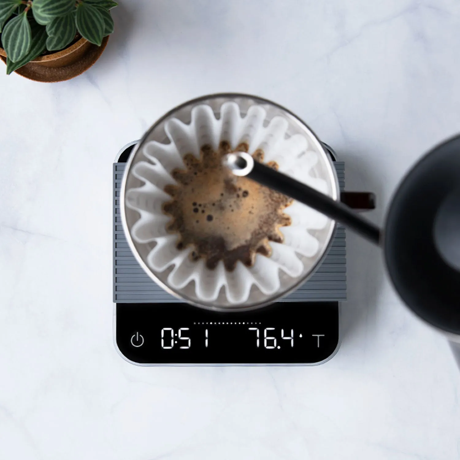 Acaia Pearl Scale - Classic Black