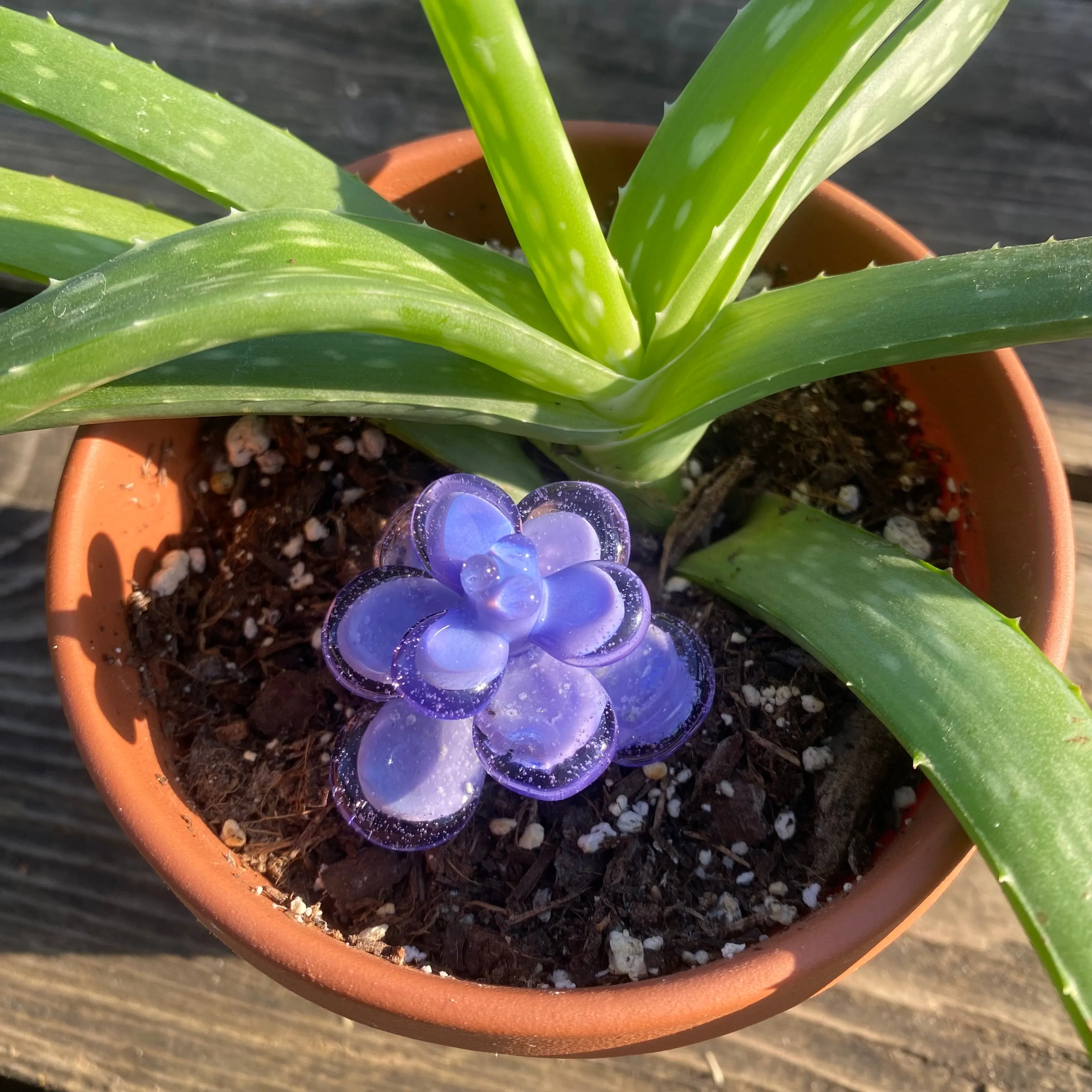 Memorial 3D Succulent Flower Sculpture