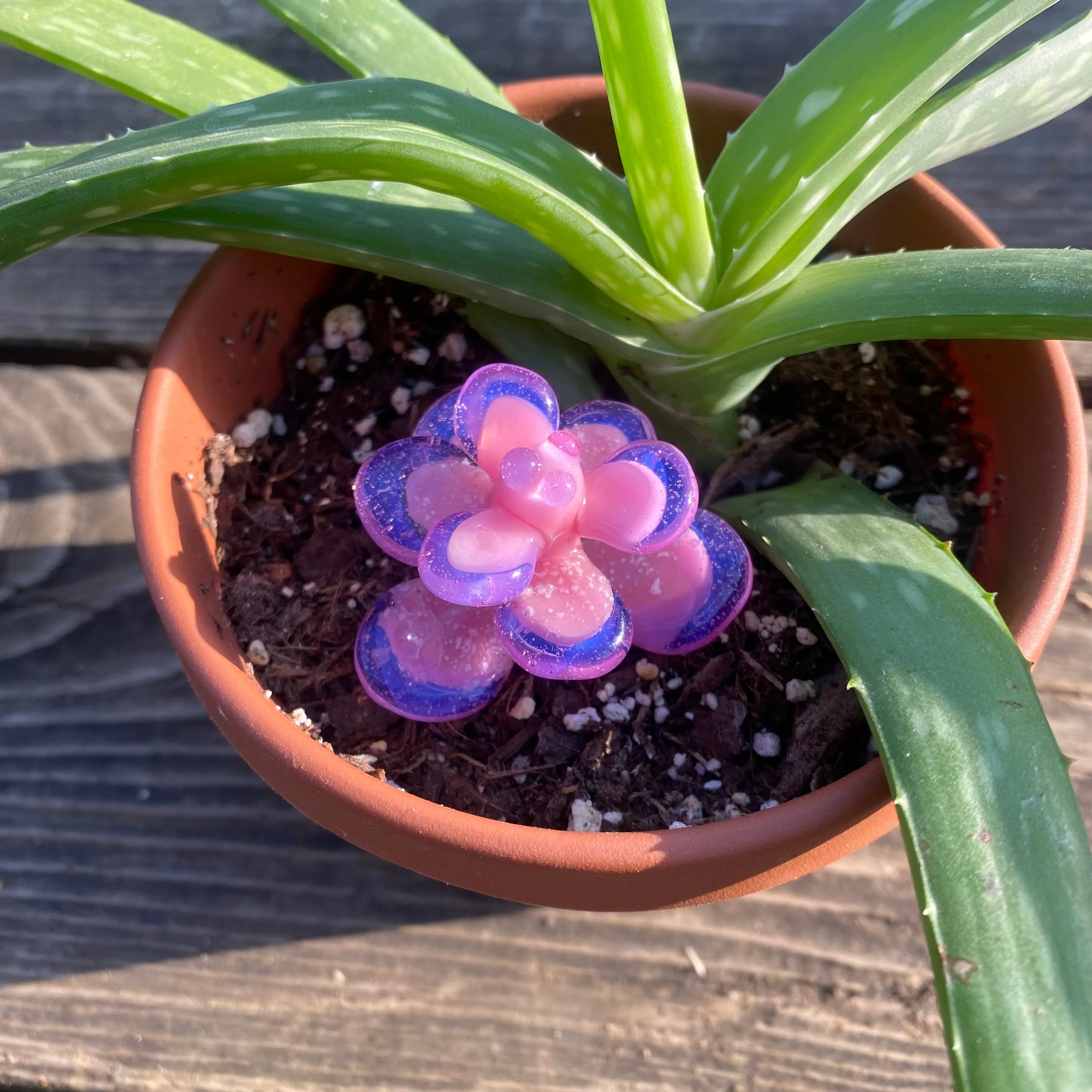 Memorial 3D Succulent Flower Sculpture